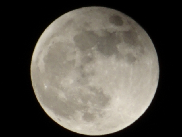 20211119-010 (640x480).jpg